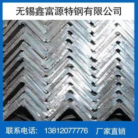 优质不锈钢型材 不锈钢角铁 批量供应 316不锈钢角钢 质优价廉