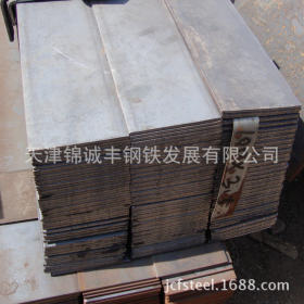 现货供应天津q235扁钢 批发定做各种规格扁钢 镀锌扁钢