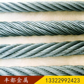 304不锈钢安全绳 316金属细丝绳 镀锌包胶钢丝绳 提供免费加工