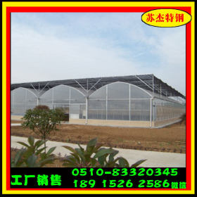 供应4米5米宽大棚架 蔬菜大棚骨架 温室钢管大棚养殖配件批