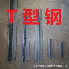天津现货销售 40*40*4热轧T型钢 专业生产 热轧T型柱 可削尖打孔