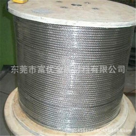 不锈钢丝304细钢丝0.4/0.5/0.6/0.7 0.8mm光亮 包胶线 牵引绳