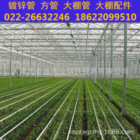 北京承德蔬菜葡萄草莓大棚管 温室大棚镀锌管 坚固耐用抗风雪