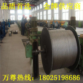 厂家供应SUS316L不锈钢钢丝绳 304不锈钢丝绳 镀锌包胶钢丝绳