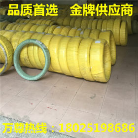 供应 304不锈钢丝绳 可定制成品钢丝绳 各类型规格钢丝绳