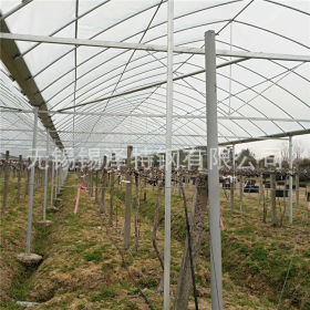 湖北武汉蔬菜可定做GP825温室大棚钢架钢管大棚骨架蔬菜大棚