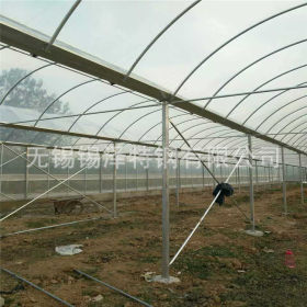 专业设计建造钢管大棚 农业连栋温室大棚  简易薄膜温室大棚
