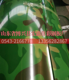 厂家批发 绿色迷彩印花板迷彩板 吊顶覆膜彩涂板 可定做批发
