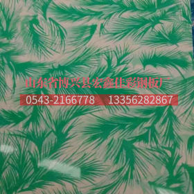 山东宏鑫佳厂家昆虫花式不锈钢彩钢印花板 环保加厚花纹彩涂板卷