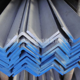 长期批发耐酸碱316L不锈钢角钢  耐高温2520不锈钢角钢