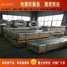 宝钢SECC  SECD上海舜启长期供应电镀锌板卷 电解板