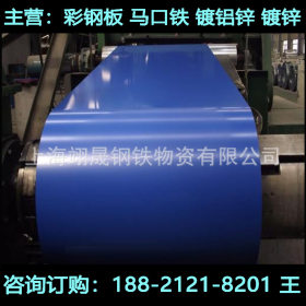 上海宝钢0.5/0.6/0.8海蓝彩钢板 彩涂卷彩钢瓦 颜色瓦型规格齐全