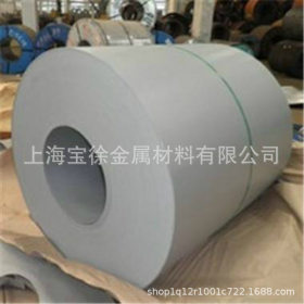河北邯郸钢厂电镀锌SECC耐指纹板卷规格齐全家电板零配件专用