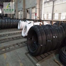 上海现货1.0050优质碳钢线材盘圆高韧性德标供应配送到厂可定制