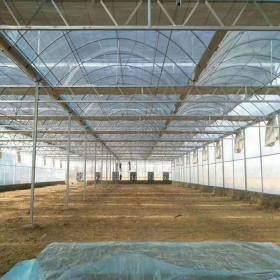 单体养殖瓜果草莓大棚骨架 建8-12米棚设计 江西赣州温室大棚骨架