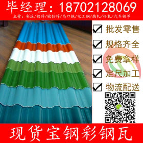 上海宝钢彩涂板TDC51D+Z 镀锌彩钢板 海蓝/白灰彩涂卷