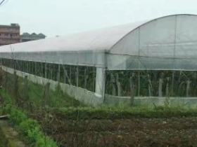 【大棚管】Q235大棚管 蔬菜大棚管 养殖用大棚管 大小口径 薄厚壁
