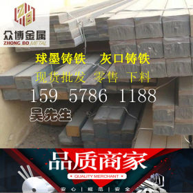 宁波供应上海球墨铸铁棒厂家 大规格铸铁棒QT600-3