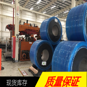 【达承金属】上海保税区直销德国进口1.4466不锈钢卷板 原厂质保