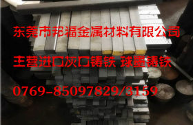 进口球墨铸铁圆棒批发 EN-GJL-900-2圆钢 厂家直销 铸铁批发