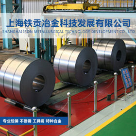 【铁贡冶金】供应德国进口 X5CrNi19-9不锈钢板/圆钢 质量保证
