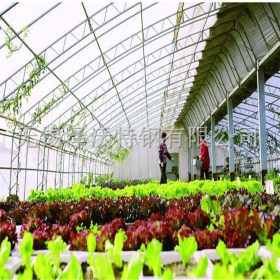 江苏专业生产蔬菜大棚 温室大棚 厂家特惠