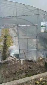 厂家直销农用蔬菜养殖大棚管6分蔬菜大棚管温室葡萄避雨大棚管