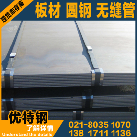 供应东北特钢 1.2316结构钢 圆钢 结构钢 合金板