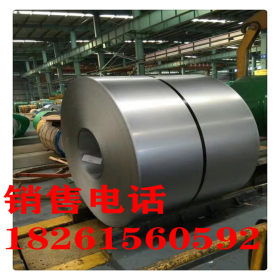 厂家供应301超薄不锈钢带 进口不锈钢带 弹性不锈钢带 0.01 0.02
