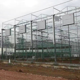 玻璃温室大棚农业温室大棚工程养殖蔬菜种植养殖草莓连体大棚