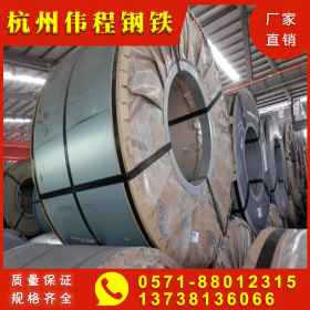 浙江 杭州 现货 厂家直销 规格齐全 钢板 钢板厂 Q235B 中厚板