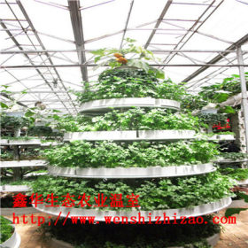 山东无土栽培厂家 有机蔬菜阳台水培 组合种植槽 专业定制