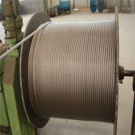 316L不锈钢丝 玖矿直销 316L不锈钢丝绳 原厂质保 正品保障