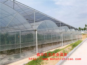 厂家直供 薄膜温室 花卉薄膜温室 鑫华温室大棚建设 质量保证