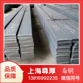 上海尊厚Q235扁钢可批发接地母线扁钢热轧扁钢热镀锌扁铁