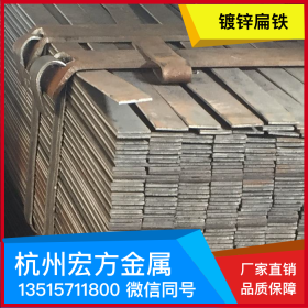 镀锌扁钢 现货供应 扁钢 Q235扁铁 可定制各种规格 厂家直销