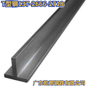 广东直发T型钢 热轧T型钢 优质T型钢厂家直销 物美价廉
