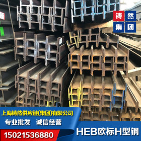 上海供应德标H型钢IPB300*300*11*19-S355J2德标型钢下差范围