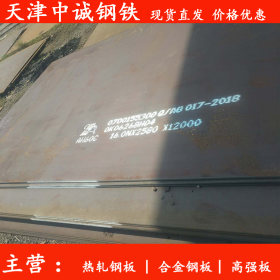 销售Mn13高锰钢板 国标Q345B钢板 Mn13热轧钢板 天津厂家切割