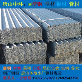 天津大邱庄 角钢生产厂家  Q235 Q355 镀锌角钢