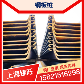鞍山紫竹SY390钢板桩  现货销售 规格齐全